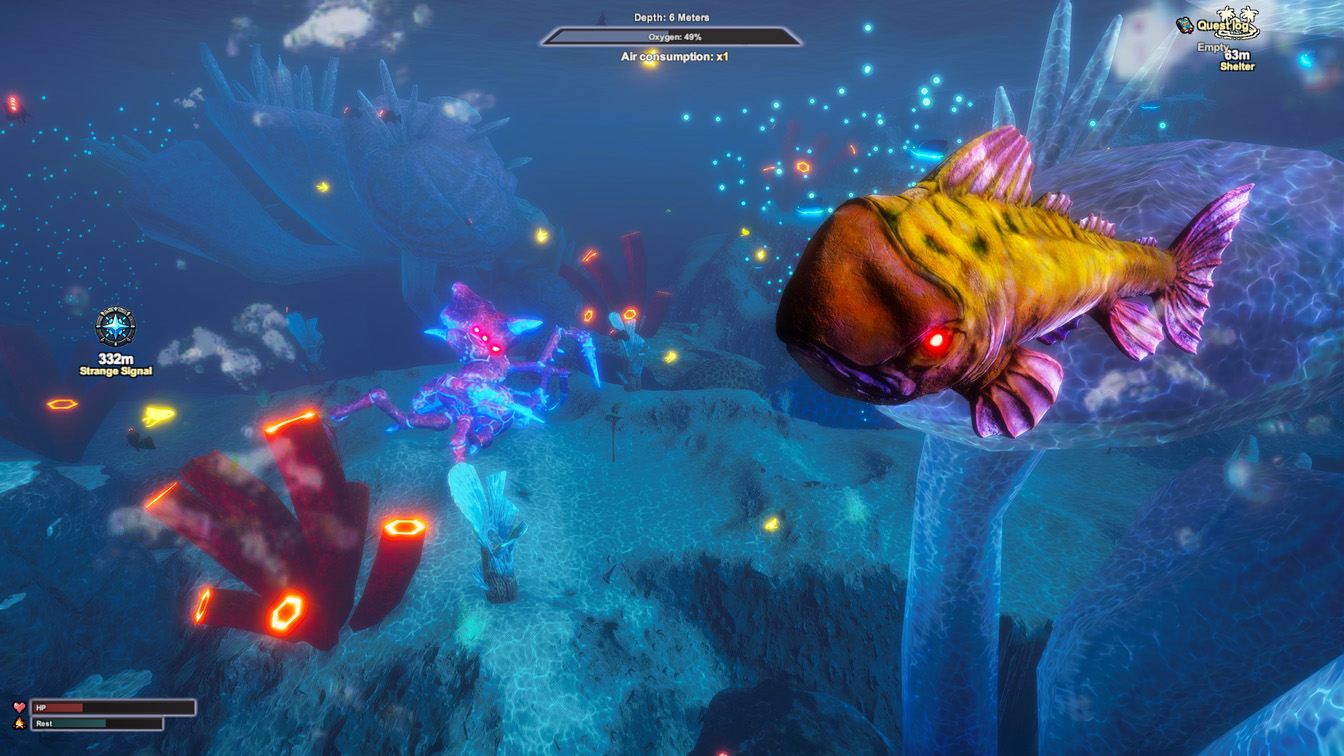 Underwater Scene and Fish